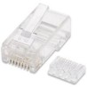 PLUG MODULAR RJ45 INTELLINET UTP CAT6 SOLIDO BOTE CON 100...