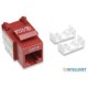 JACK RJ45 CAT6 INTELLINET UTP KEYSTONE DE IMPACTO ROJO