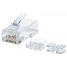 PLUG MODULAR RJ45 INTELLINET UTP CAT6 SOLIDO 80PZS CONTAC...